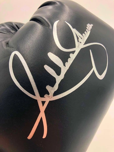 ANTHONY JOSHUA Boxing Showcase, Boxhandschuh (Everlast) Schwarz – Bild 5