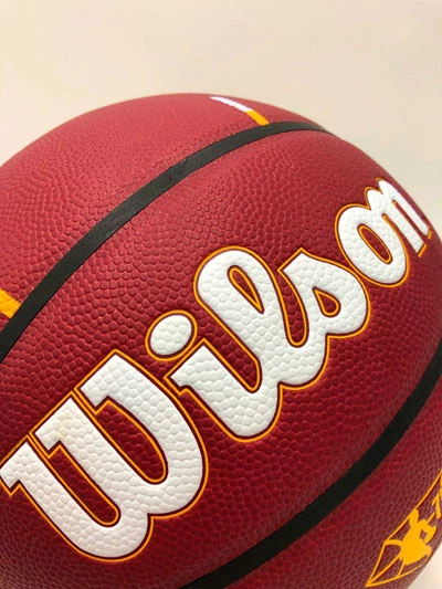 EVAN MOBLEY Basketball Showcase (Cleveland Cavaliers) Signierter Basketball, Cleveland City Edition – Bild 10