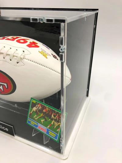 JERRY RICE Football Showcase (San Francisco 49ers) Signierter Football, 49ers White Panel Football – Bild 7