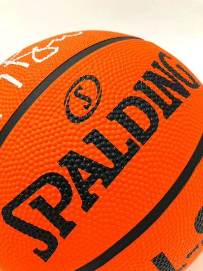 LARRY BIRD Basketball Showcase (Boston Celtics) Signierter Basketball, All-Star – Bild 9