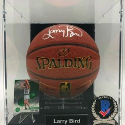 LARRY BIRD Basketball Showcase (Boston Celtics) Signierter Basketball ZI/O Excel