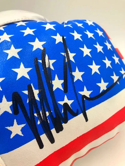 MIKE TYSON Boxing Showcase, Boxhandschuhe (Defender U.S.A.) USA Edition – Bild 2