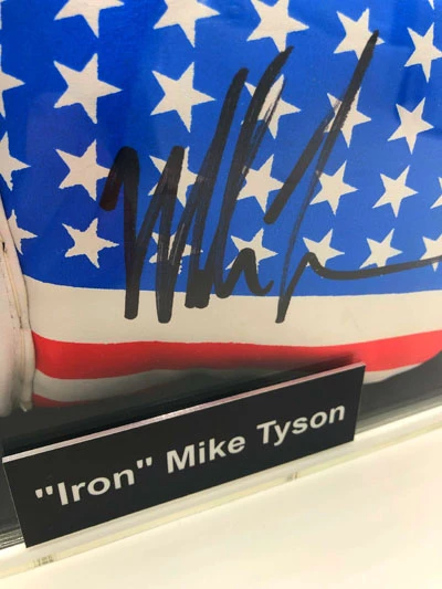 MIKE TYSON Boxing Showcase, Boxhandschuhe (Defender U.S.A.) USA Edition – Bild 11